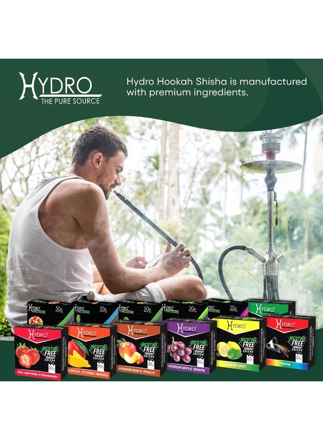 Hydro Hookah Flavors Shisha Variety Pack - 12 Nicotine Free 50g Packs Including Strawberry, Mango, Peach, Grape, Melon, Coconut, and More - Image 3